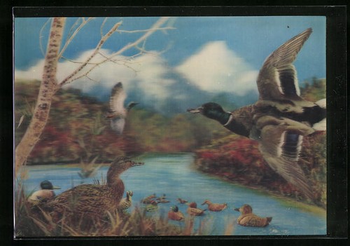 Carte postale famille de - carte,