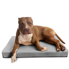 LIT KENNEL POUR CHIENS ET