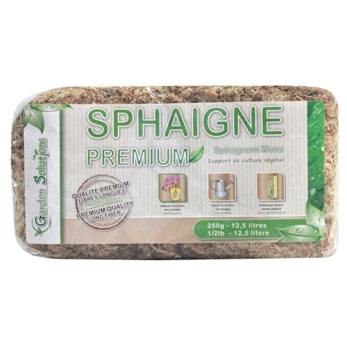 Sphaigne chili pour - sphaigne,