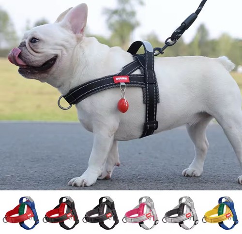Harnais bouledogue gilet - harnais,