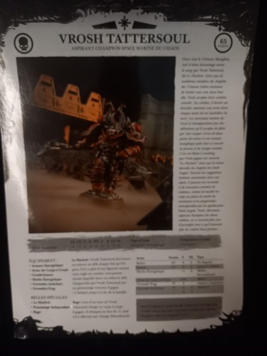 Warhammer chaos champion vrosh - warhammer,