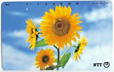 11 - CARTE TELEPHONIQUE