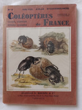 Coléoptères de France : Carabes - Staphylins - Dytiques - Scarabés ed Boubée