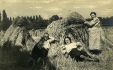 France Roubaix Resting in a