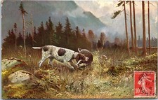 THEMES - CHASSE - un chien et un sanglier