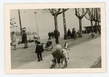 snapshot PHOTO, parc manège vélo attelage cheval