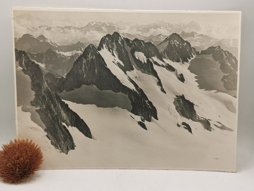 Francou pic neige - -, cordier