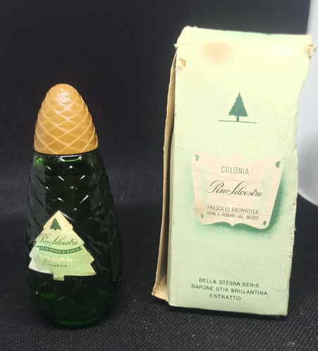Pin sauvage vidal cologne - pin,