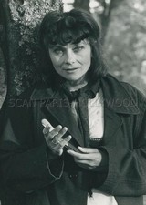 MACHA MERYL  CHENE ET LAPINS ANGORA 1982 PHOTO ORIGINAL   TV