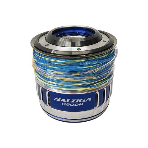 Daiwa saltiga 6500h - saltiga,