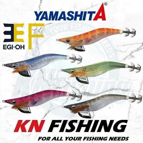 Yamashita egi squid - f,