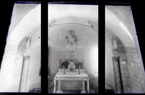 Plaque verre photo - photo, negatif