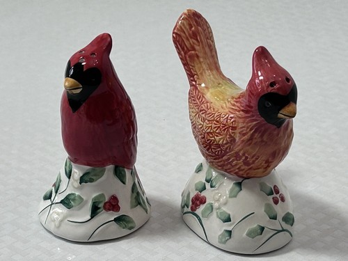 Kitsch kitchen red - red, cardinal