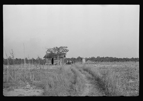 Photo rural field hut - hut, 1930s