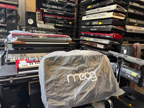 Original moog gig - gig, for