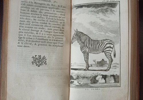 Buffon histoire naturelle - buffon.,