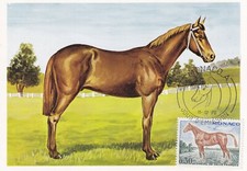 Carte postale postcard 1er Jour MONACO 1970 CHEVAL HORSE PFERD DE SELLE FRANCAIS