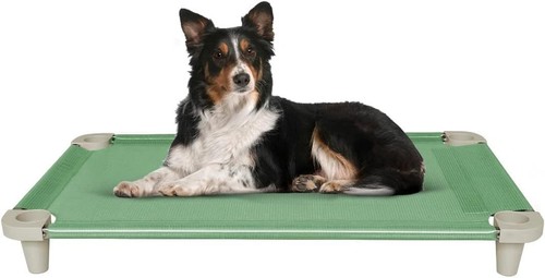 Lit surélevé pour - , chien,