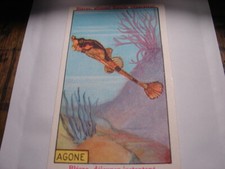 CHROMOS. PUBLICITAIRE. BLECAO