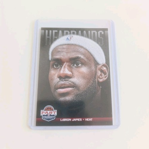 Panini 2012 past - 2012-13,