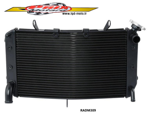 Yamaha fz8 2011 2015 - yamaha, radiateur