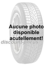 Pneu été Fortuna Euro Van