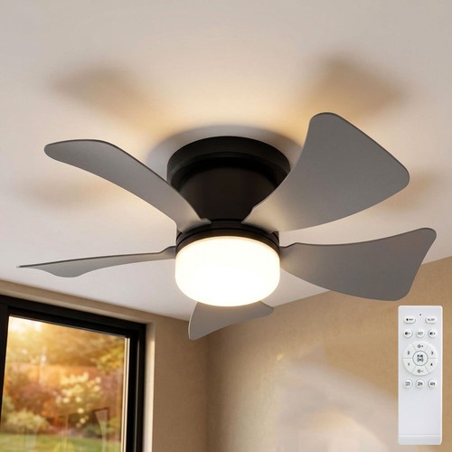 Ventilateur plafond - ventilateur, de