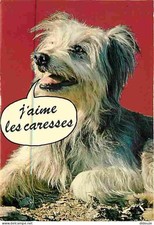Carte Postale - Animaux -