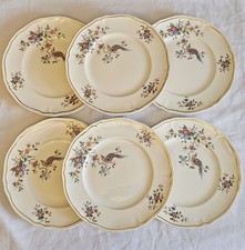 6 assiettes plates modèle
