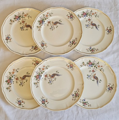 Assiettes plates modèle - plates,
