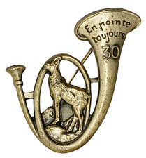 insigne TERRE - CHA 027 - 30°