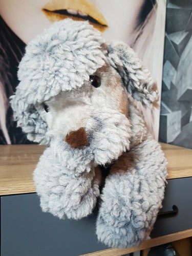 Caniche chien peluche chambre - caniche,