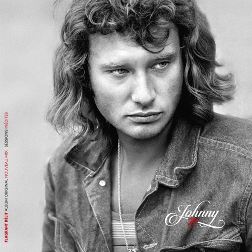 Johnny double vinyle - johnny,