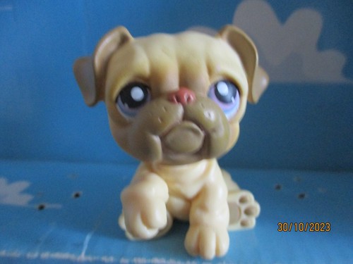 Petshop chien bouledogue - petshop,