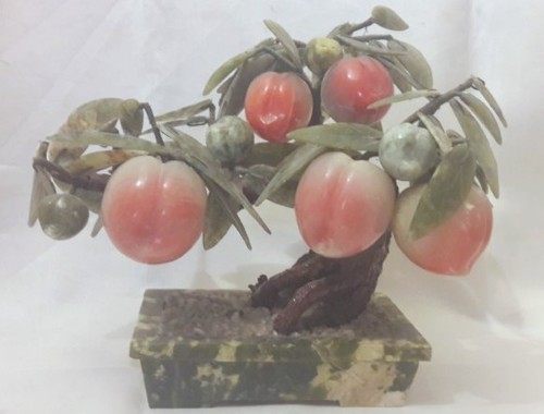 Pêcher ancien arbre - pêcher,
