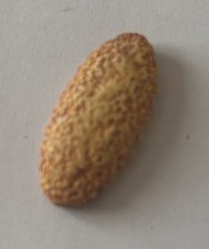 Feve Publicitaire PIGNOL  2011