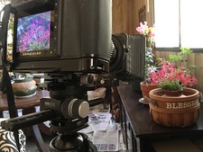 Arca-Swiss Monoball Z Tripod