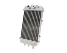 Radiateur SCORPEX de rechange