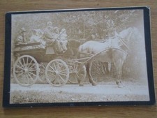 PHOTO ALBUMINE ATTELAGE CARRIOLE CHEVAUX FAMILLE BOURGEOISE 1900 