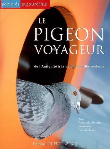 Pigeon voyageur de - voyageur,