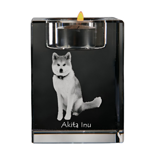Akita inu - akita,,
