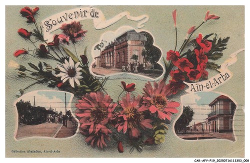 Car afyp19 1038 - car-afyp19-1038-algerie,