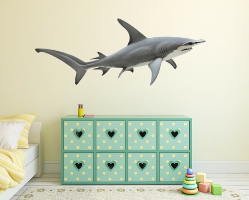 Requin gris c91 animal - c91,