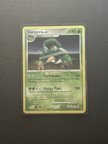 The pokémon company - pokémon, torterra