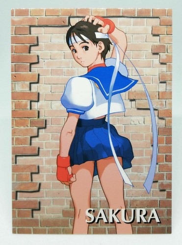 Sakura street fighter - sakura, 15th