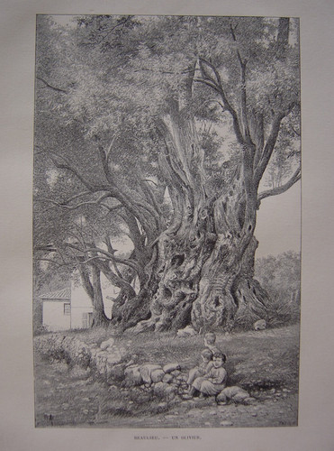Gravure beaulieu - gravure, de
