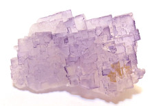 Fluorine Fluorite Mauve Fontsante Var 4x2.5cm minéraux collection pierre soin