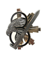 INSIGNE REGIMENT ARTILLERIE LE 8° RA LA BDI  ETAT EXCELLENT Y. DELSART