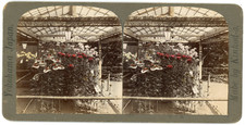 Stereo, Eastman Kodak Co