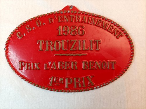 Tréglonou trouzilit - trÉglonou,